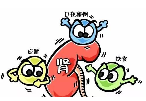 全自动幸福宝app污无限制观看版下载厂家谈肾脏病与微量元素的关系
