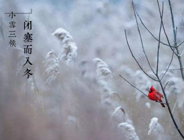 全自动微量分析仪厂家山东幸福宝app提示您天冷了，照顾好自己！奥利给