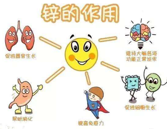 【全自动幸福宝app在线观看】厂家幸福宝app分析哪些儿童容易发生体内锌缺乏？
