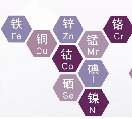 测儿童微量元素仪器 测儿童微量元素仪器
