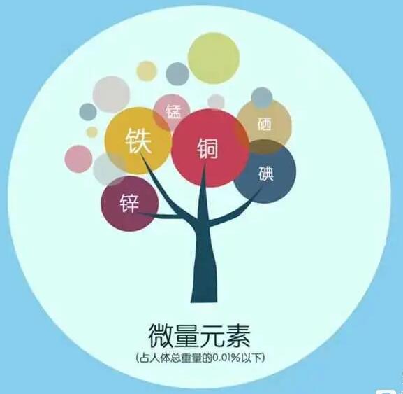 人体幸福宝app在线观看厂家哪家好 人体幸福宝app在线观看厂家哪家好