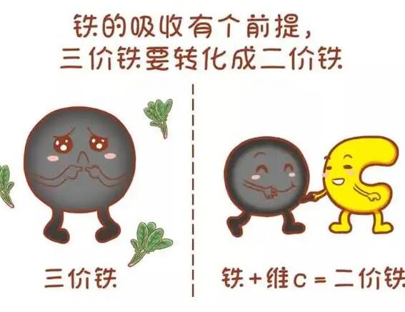 医用幸福宝app在线观看厂家提醒大家铁元素的重要性 医用幸福宝app在线观看厂家提醒大家铁元素的重要性