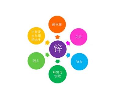 微量元素测定仪厂家提示关爱男士健康，适度补充锌元素也不能少！