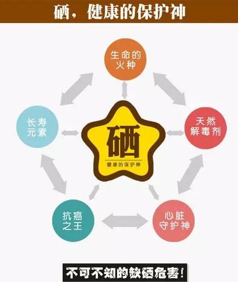 全自动幸福宝app污无限制观看版下载品牌提示硒元素对脑血管病产生的影响 全自动幸福宝app污无限制观看版下载品牌提示硒元素对脑血管病产生的影响